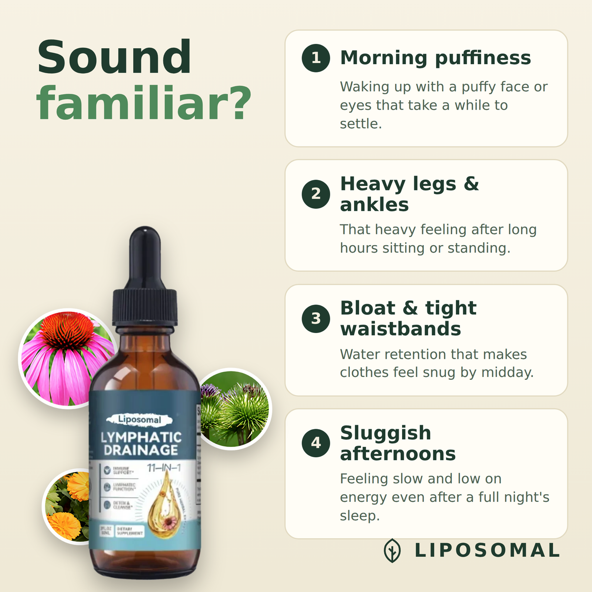 Sound familiar: morning puffiness, heavy legs, bloating and sluggish afternoons